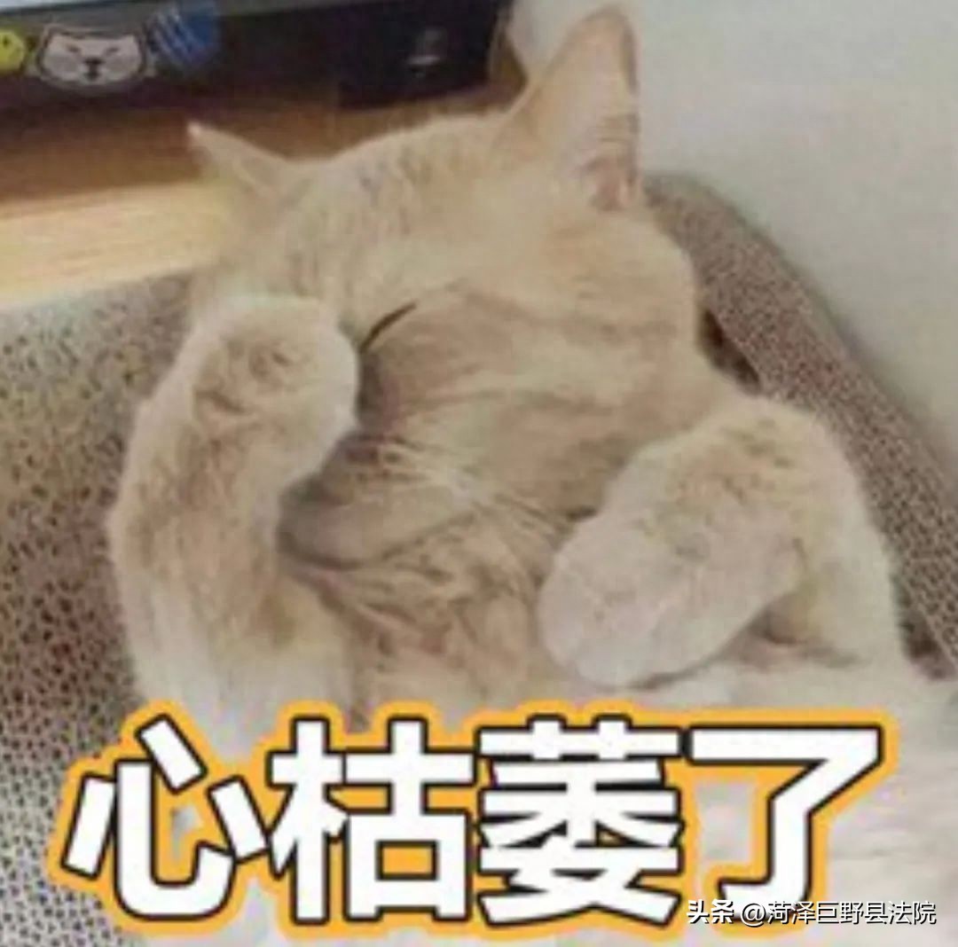 房屋未入住就积水下渗，楼下住户起诉楼上与开发商赔偿9万余元