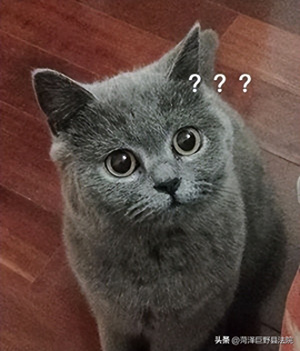 丈夫以抚养费名义给前妻转账近百万，现任妻子是否可以追回？