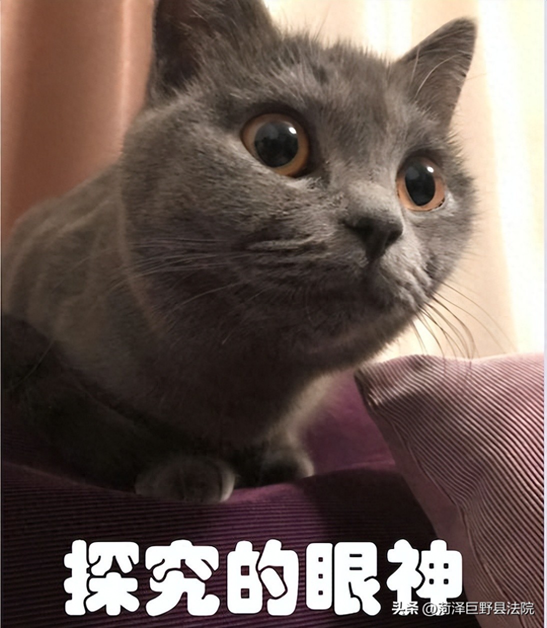 因为一次担保，养老金账户被强制执行？法院判了！