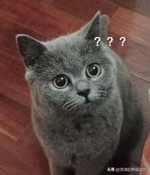 离婚后，孩子10余万元的培训费用是否属于抚养费？