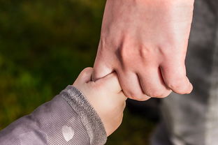 离婚多久可以有法律保护(离婚多久才能复婚)