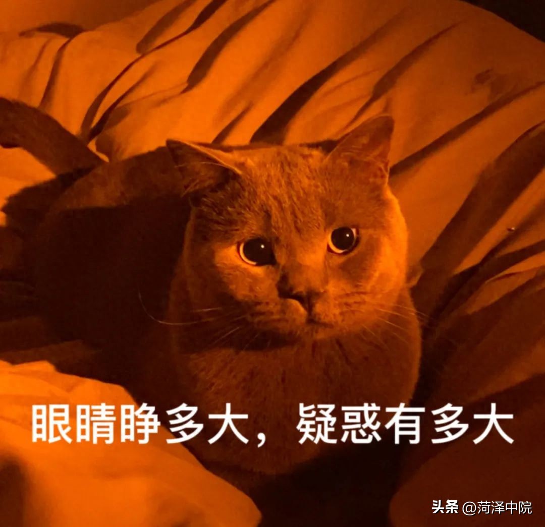 弟媳早就和弟弟离婚了，凭什么来分我爸的抚恤金和丧葬费？