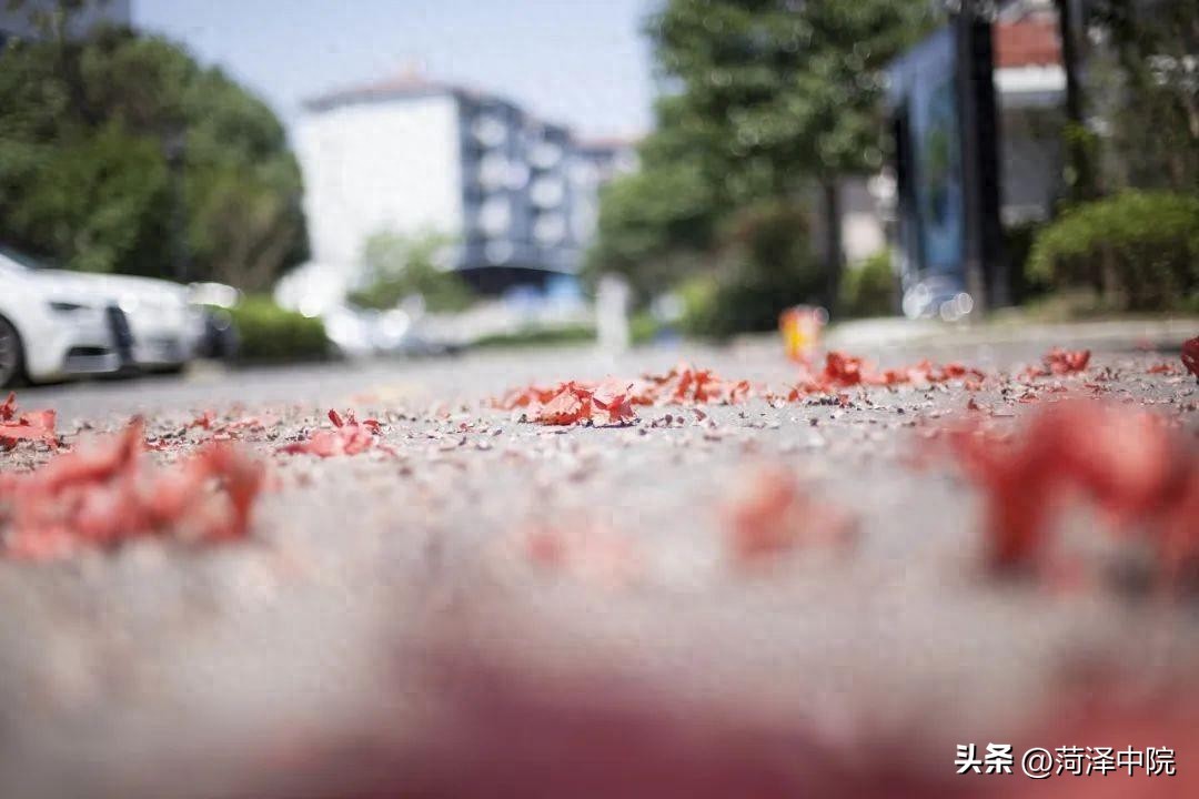 扔鞭炮诱发他人脑出血，该如何担责?