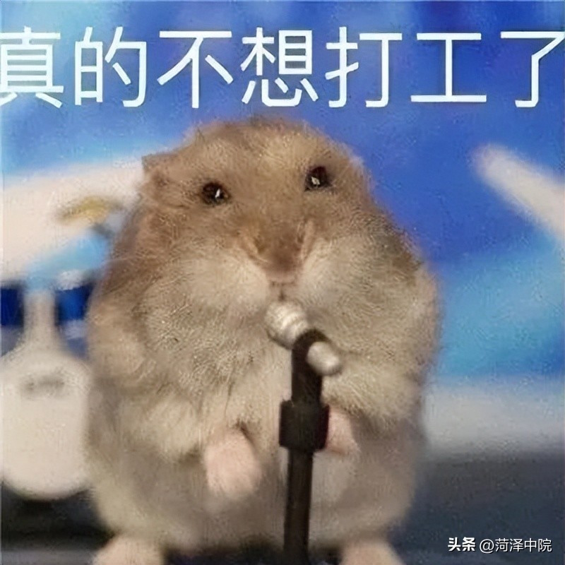 确认怀孕不到一个月被公司开除，她该如何维权？