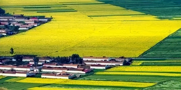 回乡购买废弃堰塘填土建房，土地买卖合同是否有效？
