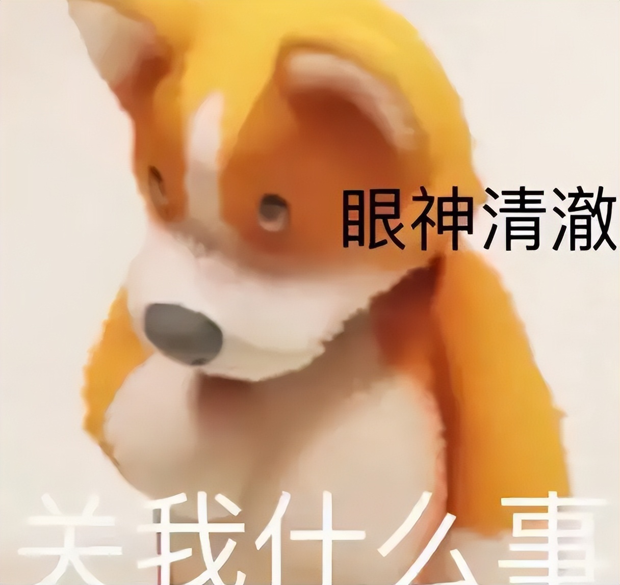 宠物前扑致老人受惊摔成九级伤残，饲养人需担责吗？