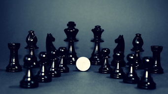 催收为什么突然停止催收了？