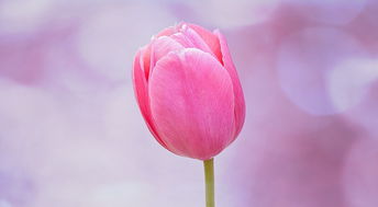 离婚要花多少钱？