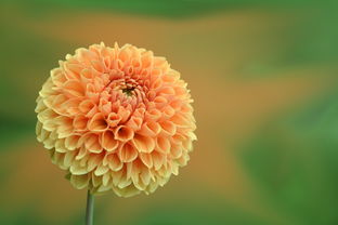 离婚手续到底要花多少钱？