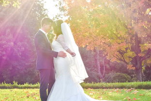 婚内家暴，如何离婚？，婚内家暴，离婚攻略