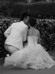 荷兰结婚离婚法律怎么判？，荷兰结婚离婚法律规定