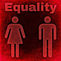 女人离婚怎么走法律？——权威指南，女人离婚法律指南