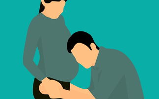 爸妈离婚法律条款怎么写？，离婚法律条款解析