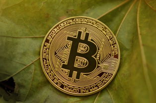 社保要交多少钱？社保缴费金额