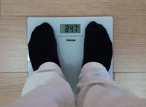 八两是多少斤？八两等于多少斤