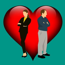 见面礼是否能作为夫妻共同财产？见面礼能否算夫妻共同财产？