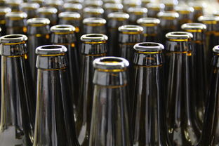 一瓶啤酒到底有多少毫升？啤酒容量知多少