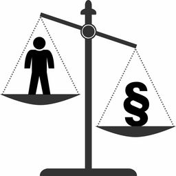 法律为何允许出轨离婚？——专业律师解析，出轨离婚，法律解读