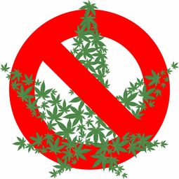 法律为什么禁止离婚？离婚禁令何在？