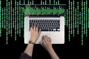怎么举报网址？举报网址的方法