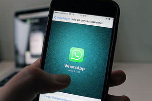 网贷发的短信能举报吗？网贷短信可举报
