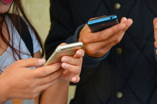 网贷逾期发短信给朋友，该如何举报呢？举报网贷逾期短信骚扰朋友