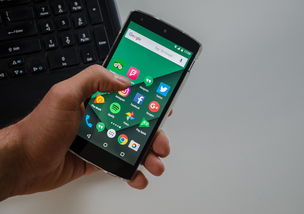 收到私人号码发的起诉短信，我该怎么办？收到起诉短信该怎么办？