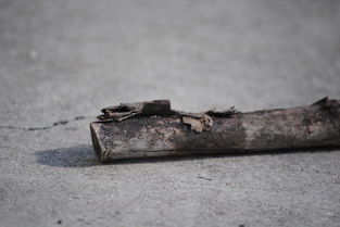 死刑怎么执行？死刑执行方式