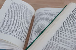 政府性补贴收入企业所得税税率是多少？