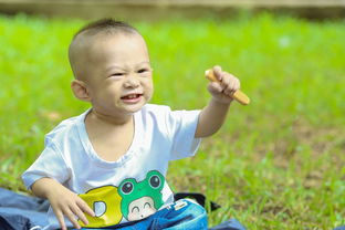 未婚生育的孩子抚养权归属如何办理？