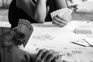 欠 20 万无力偿还，被起诉会坐牢吗？