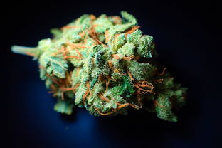 逾期处理中心用真人头像做宣传，合法吗？