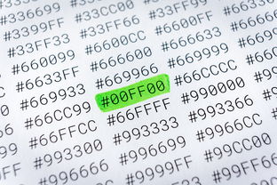 结婚登记需要带哪些东西？2024最新材料清单请收好！