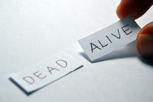 欠信用卡 30 万死了，家人是否需要偿还？该如何处理？