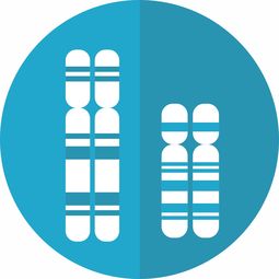 网贷没有逾期，真的能顺利贷款吗？