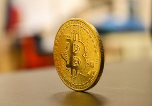 公司不交社保，员工怎么垫钱？合法维权渠道了解一下！