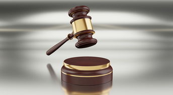 律师担任政府法律顾问的重要性