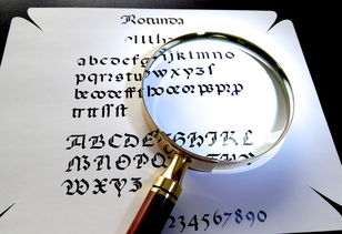 五险中哪些保险可以转移？如何操作更省心？
