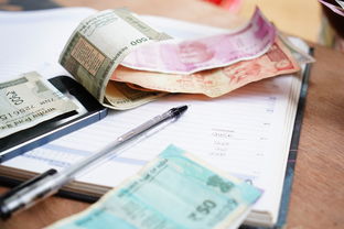 贷款 20 万还不起被起诉会判几年？
