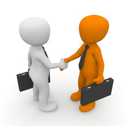 双方不交社保可以吗？法律风险与现实考量