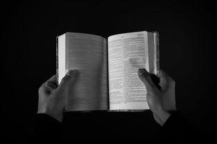 不交社保影响养老金吗？答案可能让你意想不到！