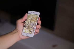 网贷逾期后保险公司打电话，这是合法的吗？