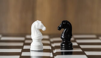 如果贷款人不还，担保人该如何应对？