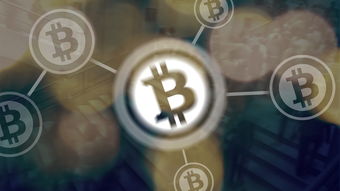 低保户交不交社保费用？这是你需要了解的关键信息！