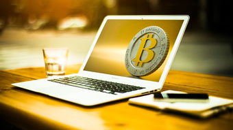 金银猫收益是多少？你真的了解这个投资平台的回报真相吗？