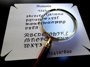 社保卡照片有什么要求？一文讲清你需要知道的重点！