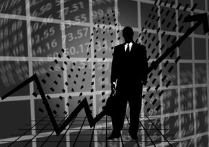 资金拆借什么意思？你真的了解这个金融术语背后的含义吗？