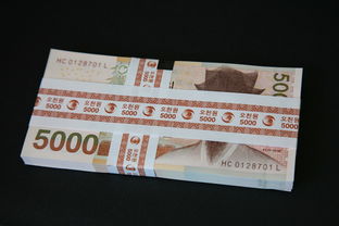 欠网贷5000元逾期2年后果严重吗？