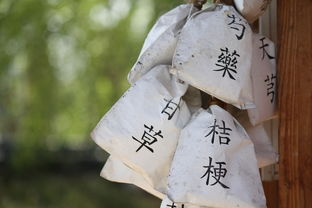 中医为什么开药只开7天？这背后有什么讲究吗？