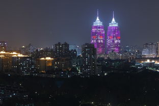 上海是什么城？一座融合历史与未来的世界级都市！